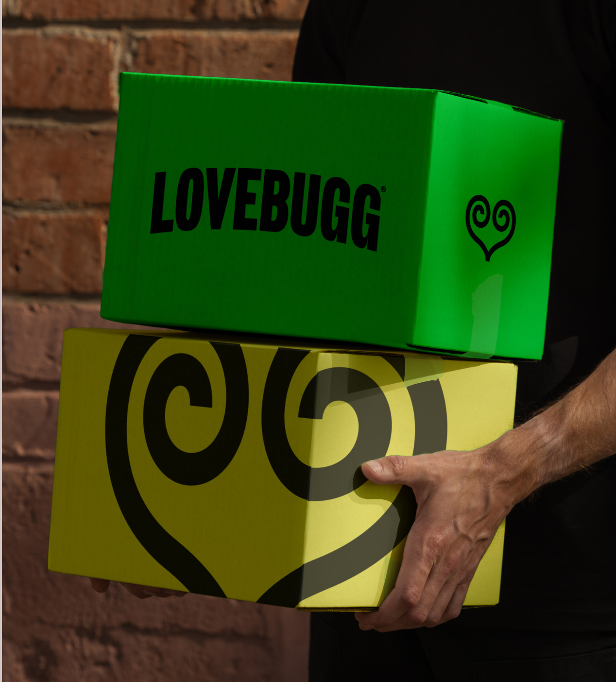 LoveBugg Boxes