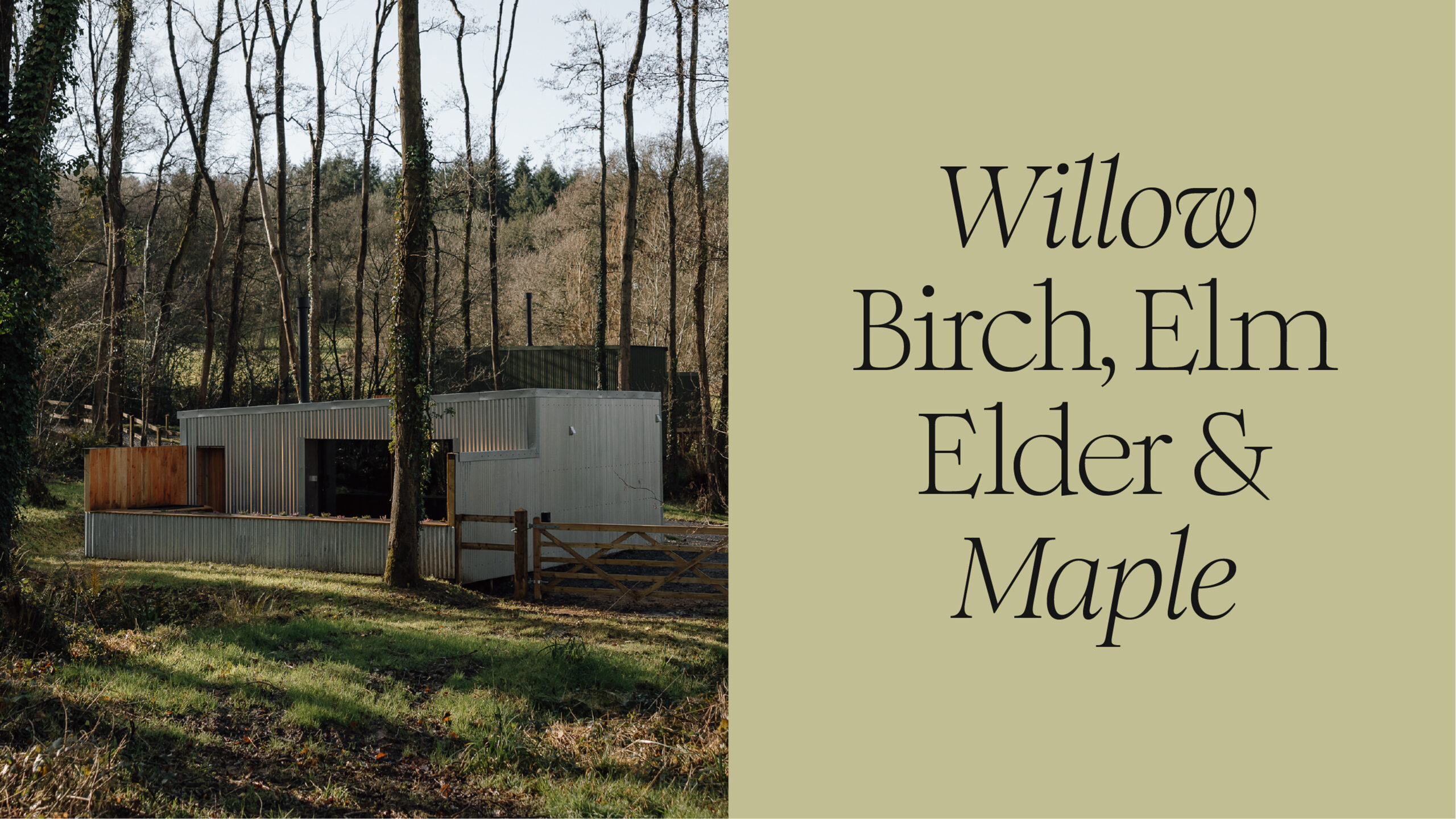 Hideaways-Tree-Names